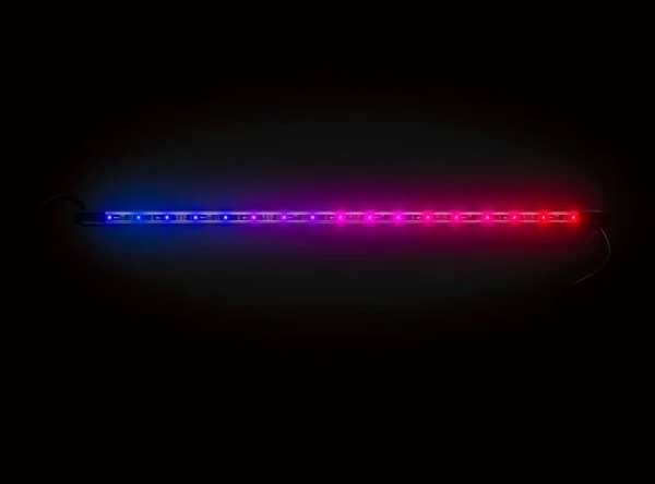 2026_06_04_2687764