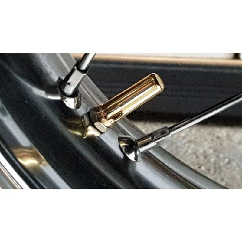 caferacerwebshop202606010356011850741