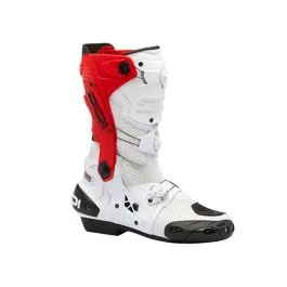 king-moto202606010802121875856